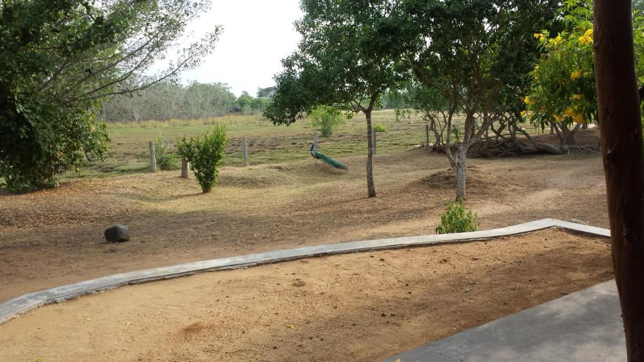 Taragala Chalets Kalametiya Εξωτερικό φωτογραφία